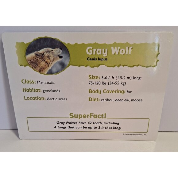 10 Animal Picture Cards Set Educational Wildlife Learning Resources Science New - Picture 3 of 4